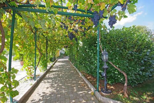 Villa "edvard"