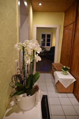 Ferienwohungen Dom�ne S�pplingenburg