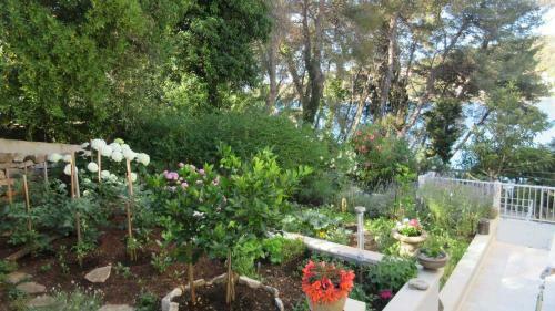 Apartamentos Villa-srece Appartements