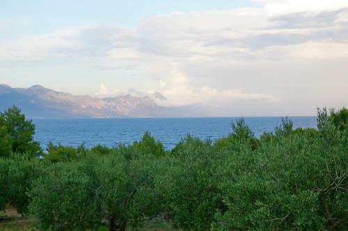 Holiday Home Nevista