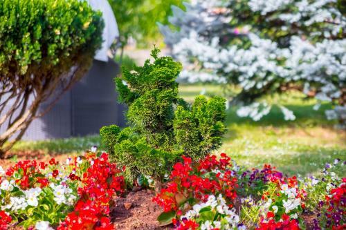 Apartamento Garden Paradise App