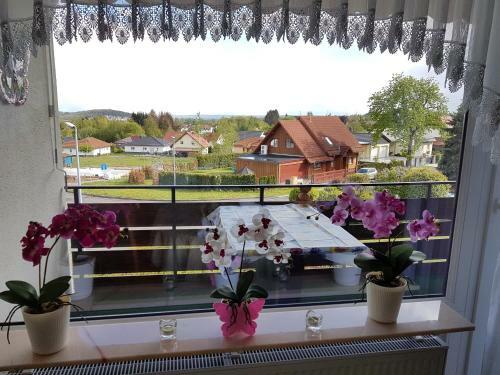 Apartamento Ferienwohnung Sch�ne Aussicht