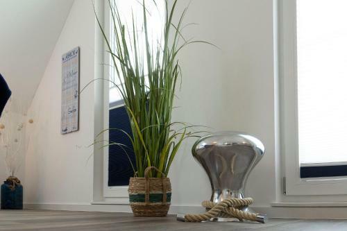 Nordseeresort B�sum Ferienhaus 67 Seeluft
