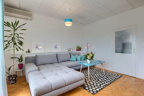 Apartman Vesna Q