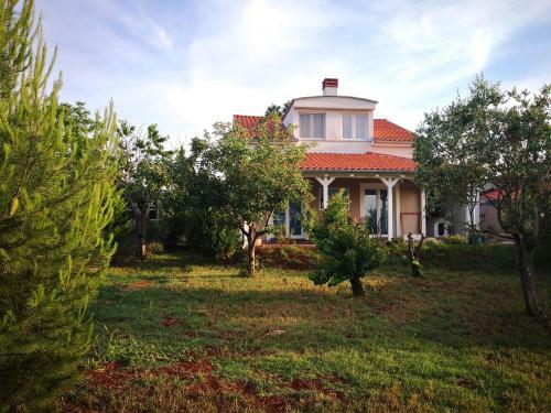 Ana's Garden Holiday Home
