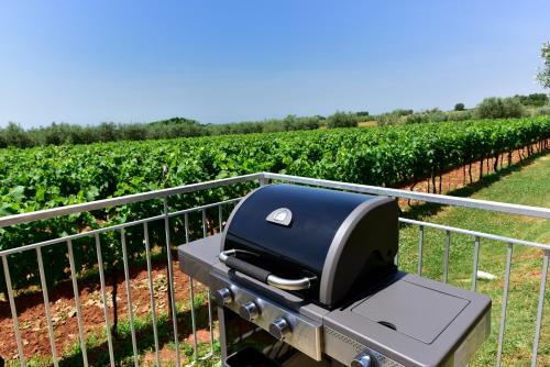 Apartment Niki, Surrounded By A Vineyard With A Whirlpool