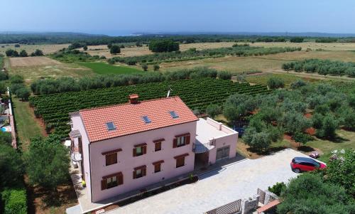 Apartment Niki, Surrounded By A Vineyard With A Whirlpool