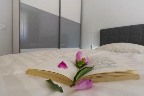 Apartamentos Papillon I Dolce Vita