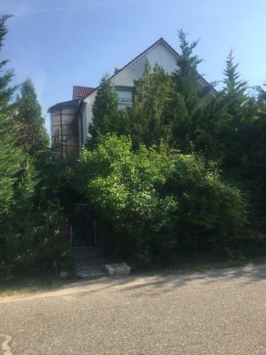 Hostal Donau Apartman,t�t