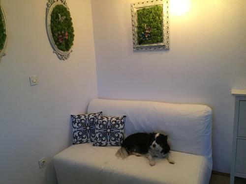 Apartamento Boba's House