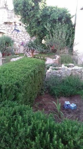 Apartman Lavanda