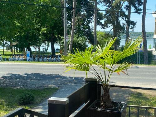Bed & Breakfast Panzi� Tata