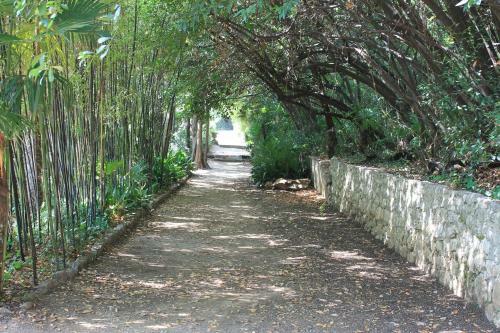 Apartments Platana