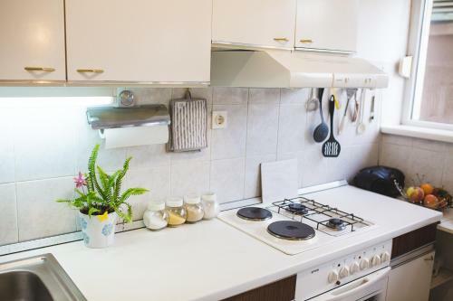 Apartment Ema