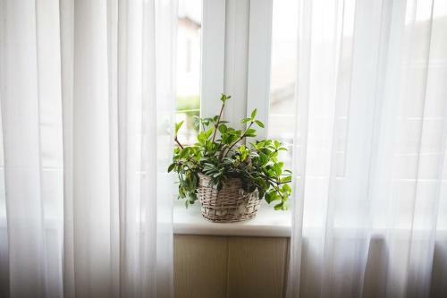 Apartment Ema