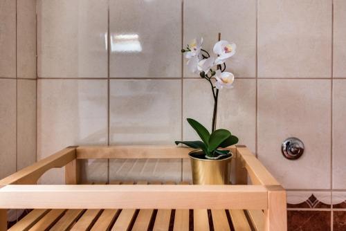Apartamentos Studio Maslina