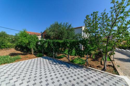 Apartman Maslina