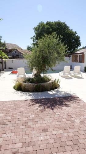 Villa Holiday Home Chichichi