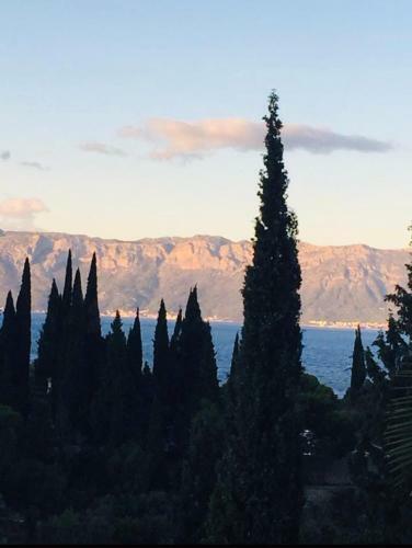 Apartamento La Maison Alvina