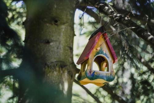 Old Chestnut Vacation Home
