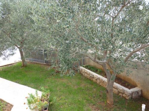 Apartments In Starigrad-paklenica 33765