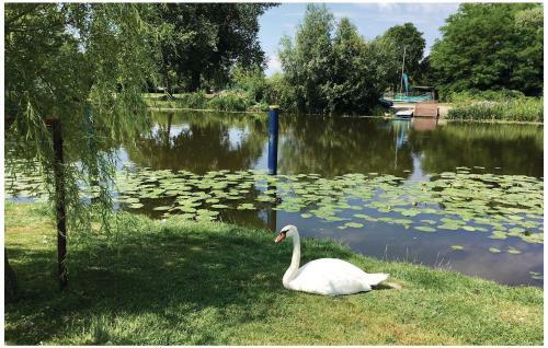 Holiday Home Majus-balatonm�riaf�rdo