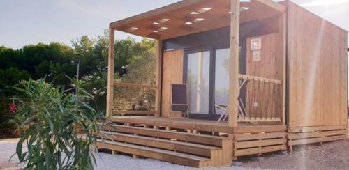 Olive Camp