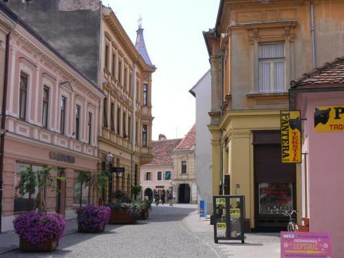 Holiday&business Studio Apartment**** Vara?din