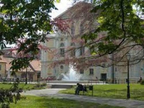 Holiday&business Studio Apartment**** Vara?din