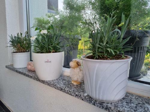 Apartman Nataly