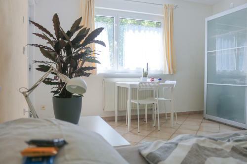 Apartment With Easy Access To Downtown And Park