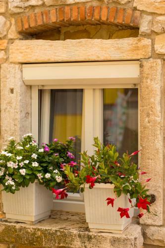 Lovely House