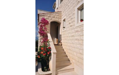 Apartments Petranic