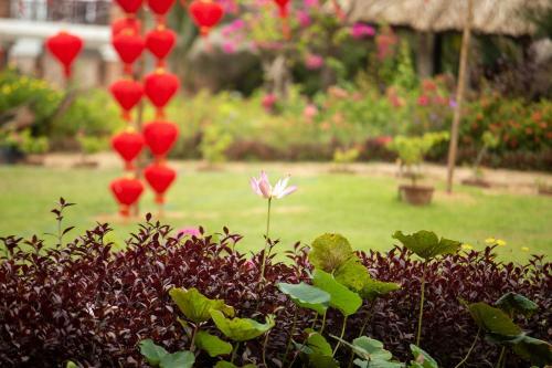 Hotel Fiore Healthy Resort