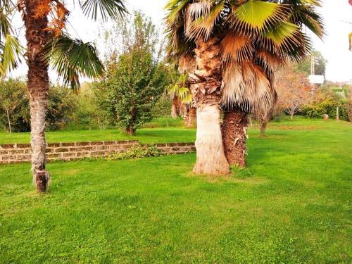 Hostal Luconi Affittacamere