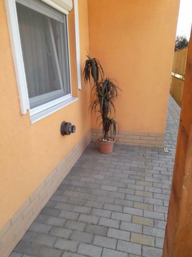 Therm�l Apartman Tiszaf�red