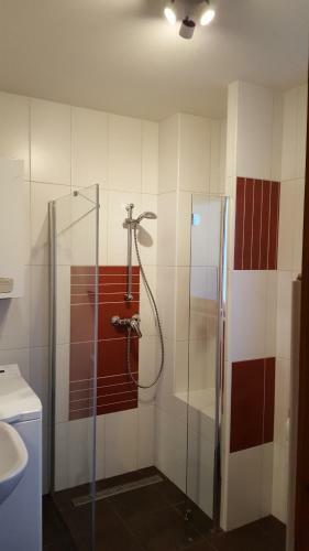 F�c�nkert Apartmanh�z