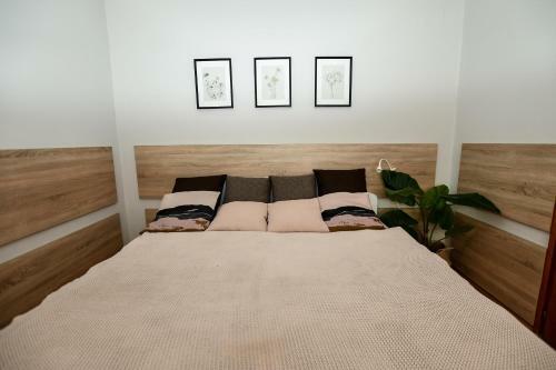 Hostal Marika Vend�gh�za