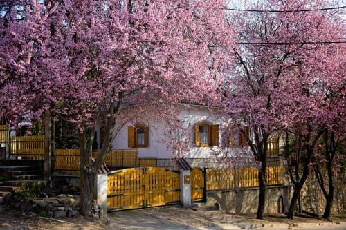 Apartamento Antal�czy Vend�gh�z