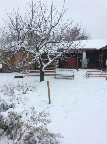 Hostal Mohatet?s Lombh�z