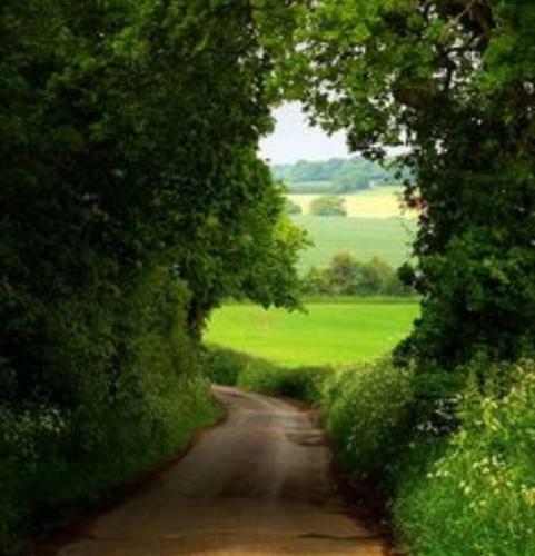 Relaxing Break In The Countryside