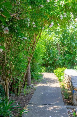 Garden Apartment