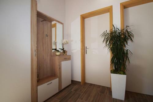 Eco Friendly Cottage Maja