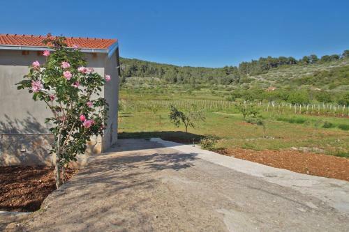 Eco Friendly Cottage Maja