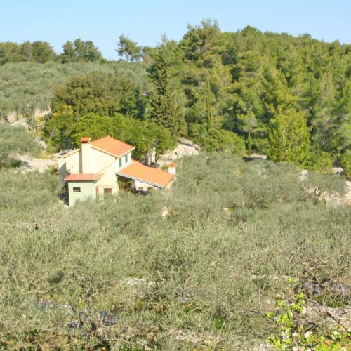 Green Olive's House Marinka
