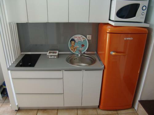 Apartments Anicic