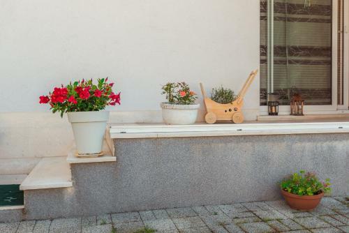 Apartmani Gelo