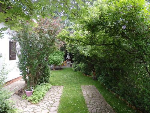 Orgona Vend�gh�z