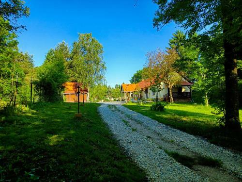 Apartamento ?rs�gi Katic�s Vend�gh�z