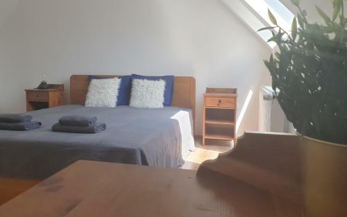 B6 Apartman